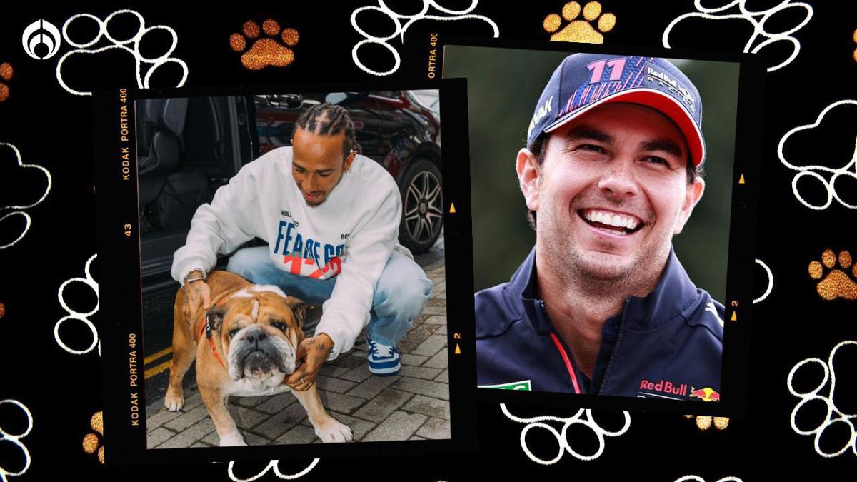 Checo Pérez ya quería llevarse a casa a Roscoe, el perro de Hamilton | Especial