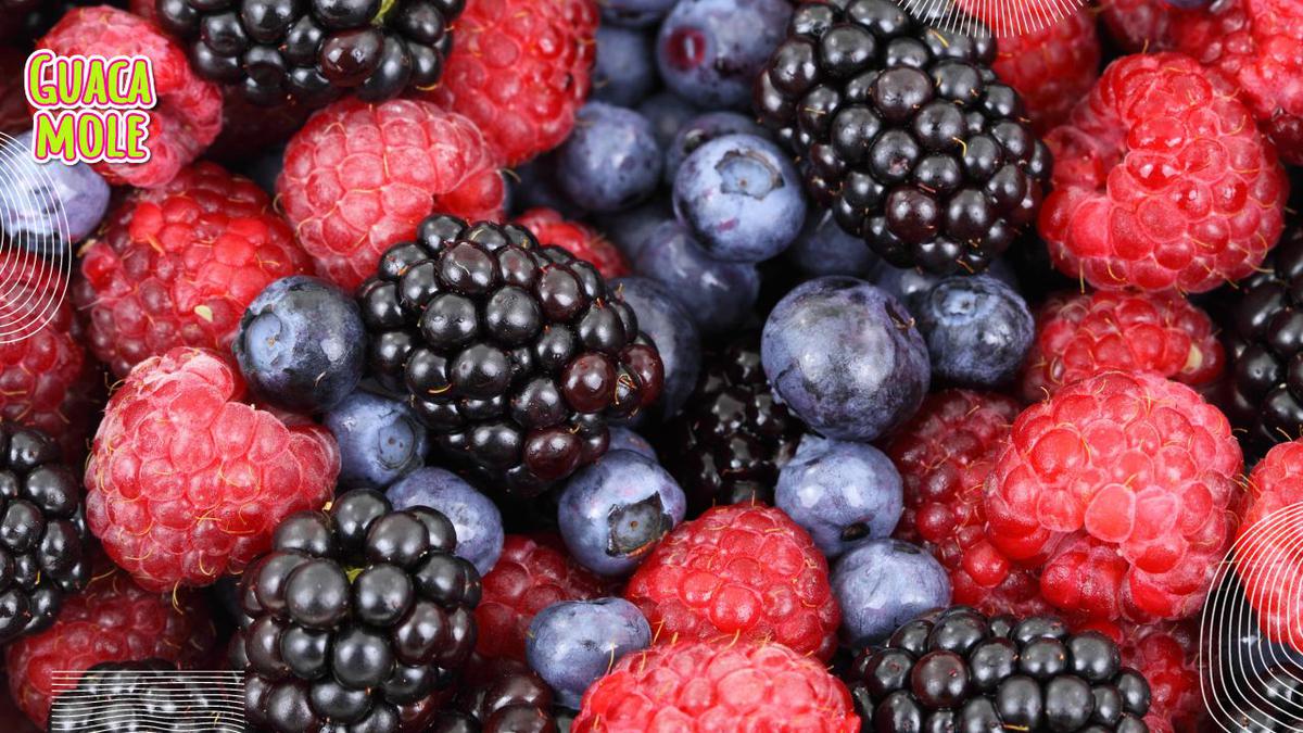 Por qué los frutos rojos son antioxidantes? ¡Descubre el secreto de las  berries!