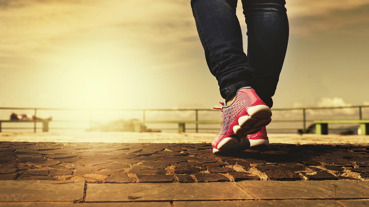 Si Harvard lo dice... | Sumar a tu rutina una caminata te ayudará a bajar de peso.
Foto: Pixabay