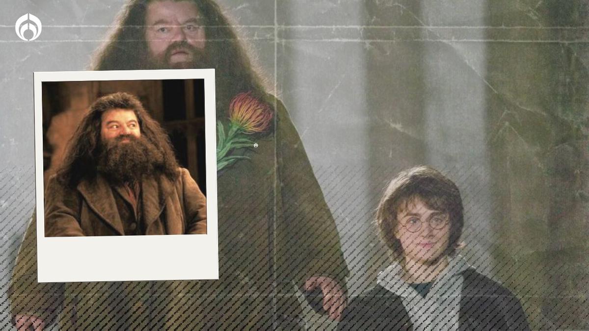 Daniel Radcliffe | As{i despide a Robbie Coltrane, lanza emotivo mensaje a 'Hagrid'