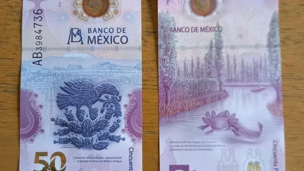 El billete del ajolotito de 50 pesos es uno de los más buscados.