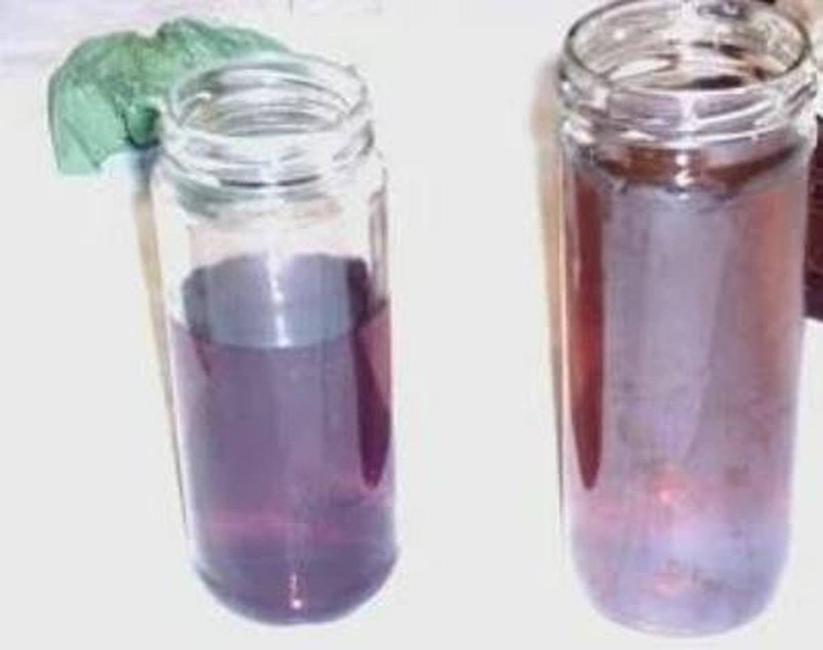  | El púrpura de Casio. quimicafacil.net