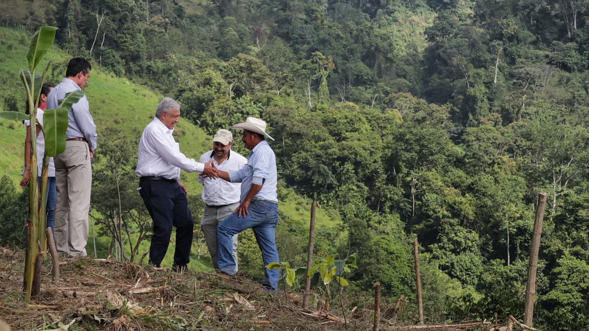 AMLO supervisando avances de Sembrando Vida en Chiapas. Foto: Presidente de México