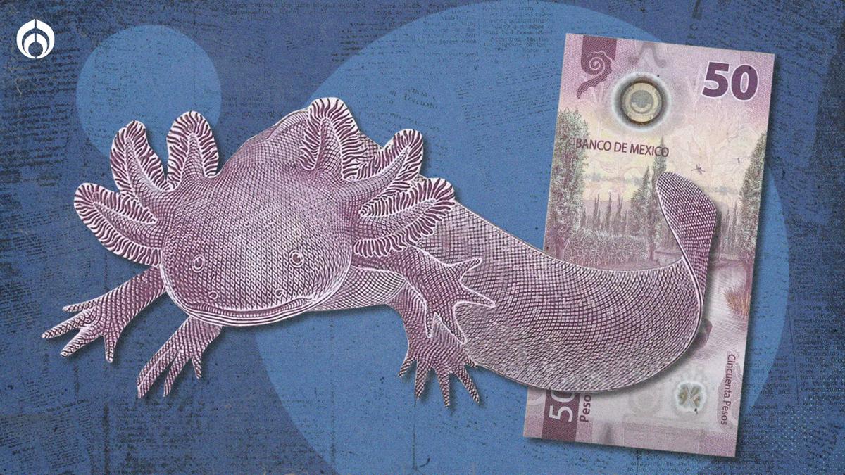  | El billete de 50 pesos con los ajolotes no es el único famoso en el país