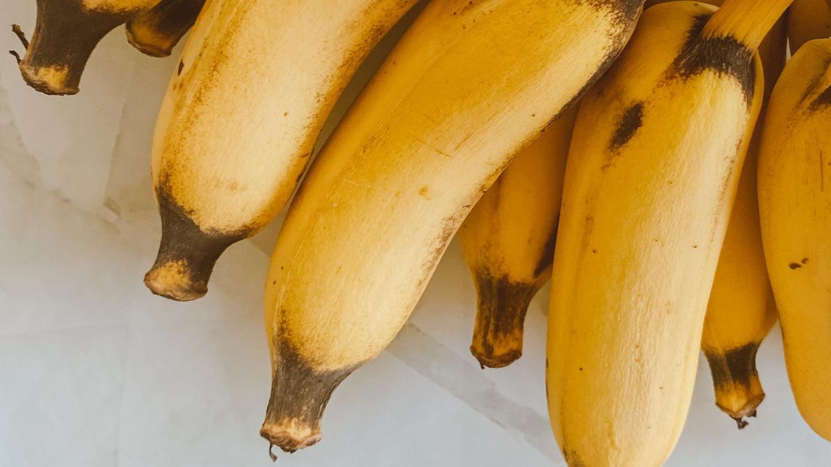 Manchas en los plátanos | Pueden esconder arañas venenosas.