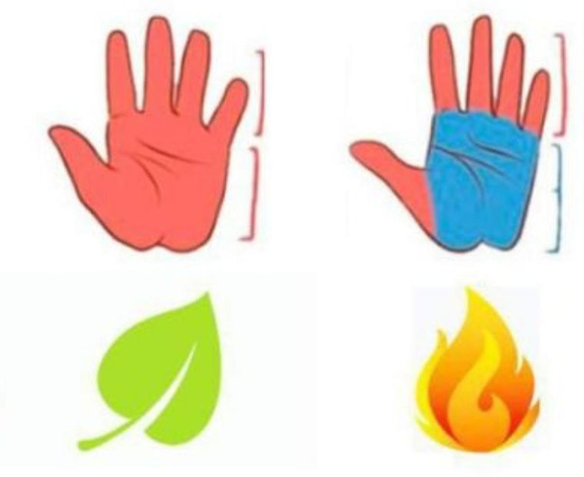 Si tu mano se asemeja a estas formas... | Mira su significado.