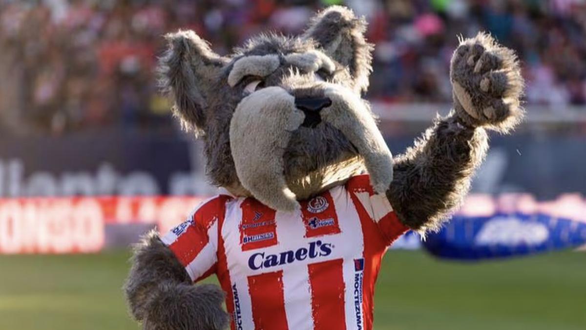 Lucho mascota San Luis | El perro es la nueva mascota del Atlético San Luis - crédito X