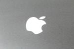(FOTOS) iPhone 14: Así es el nuevo dispositivo de Apple que saldrá este año