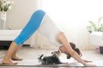 DOGA: Conoce el Yoga para perros y ponte en armonía con tu mascota