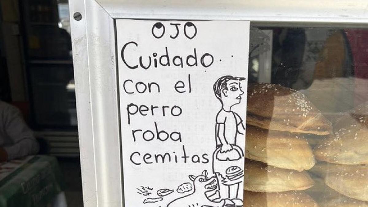  | Un perrito suele robar cemitas afuera de un restaurante en Puebla.
