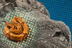 Isla de las Serpientes: Los lugares más increíbles y mortíferos del mundo