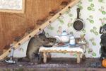 ¿Stuart Little? Hombre construye mini casitas para los ratones que viven en su jardín (VIDEO)