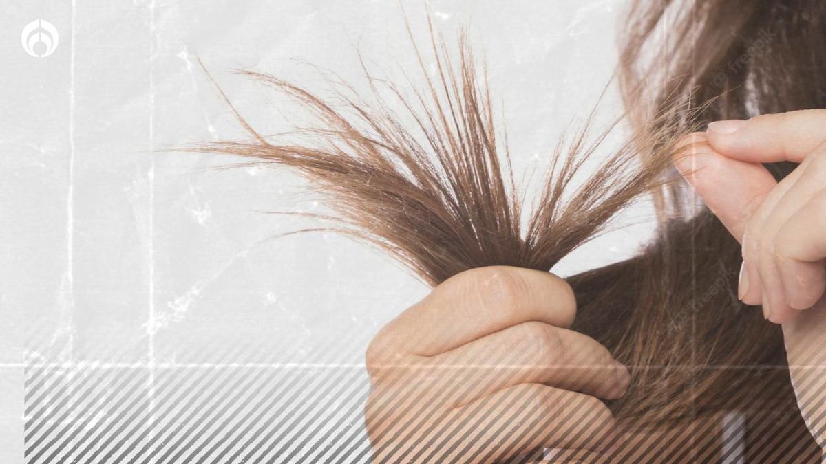  | Cuida tu cabello con estos tips de belleza capilar. 