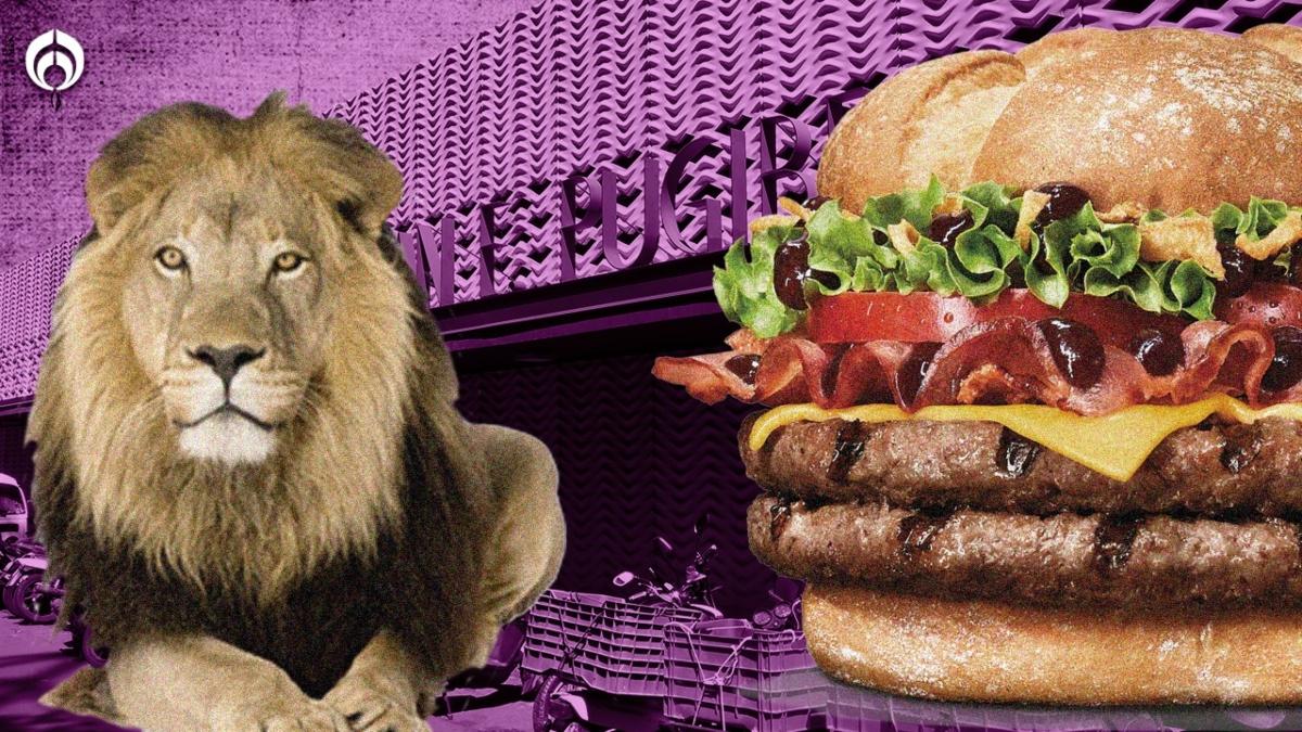  | Las hamburguesas de león son más populares entre los turistas chinos 