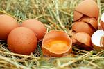 Formas de comer huevo: Orden de la más saludable a la menos recomendable