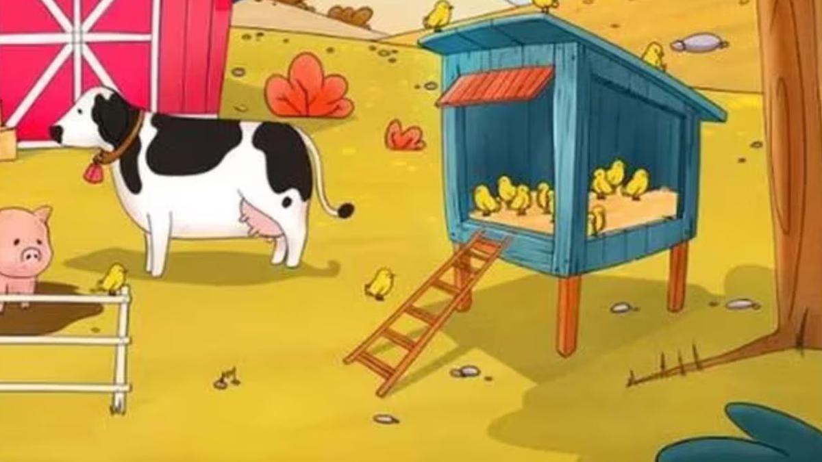 Reto visual: Encuentra la gallina en la granja | descubre si tienes vista de felino
Imagen: @ShowmundialShow