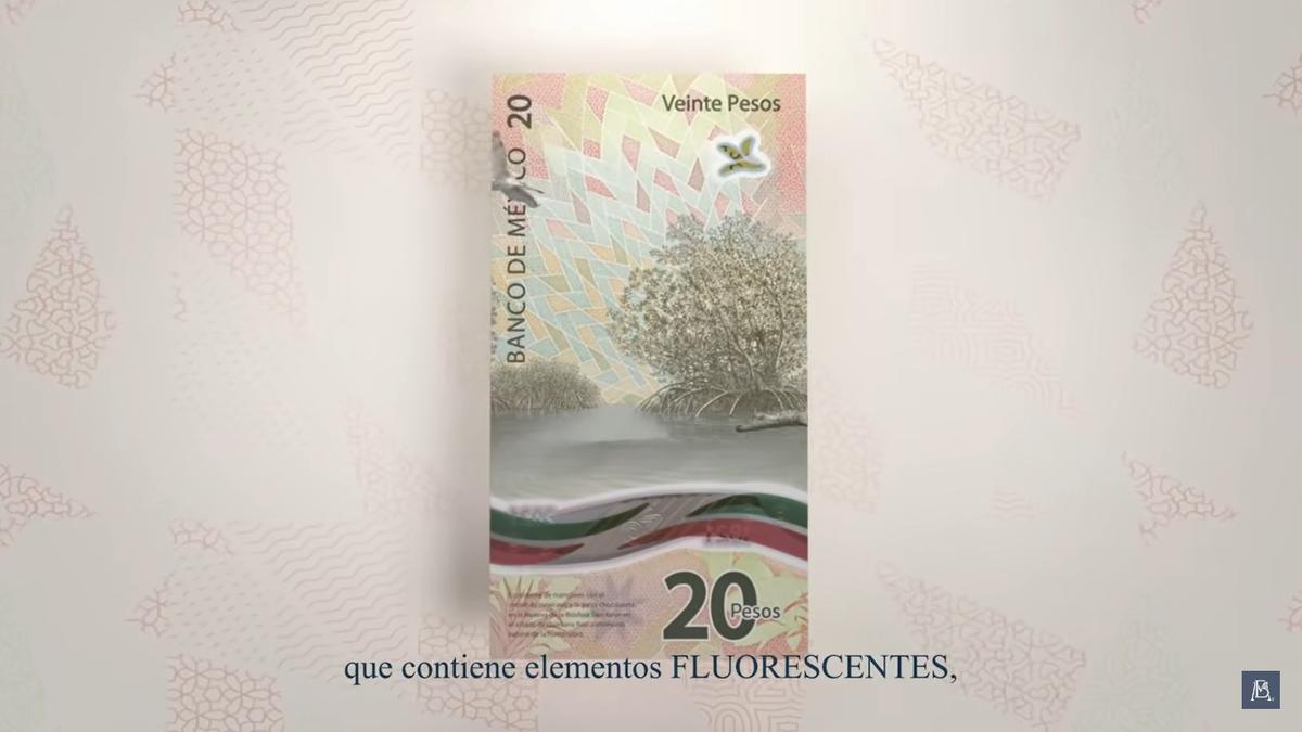 | Foto: Banco de México