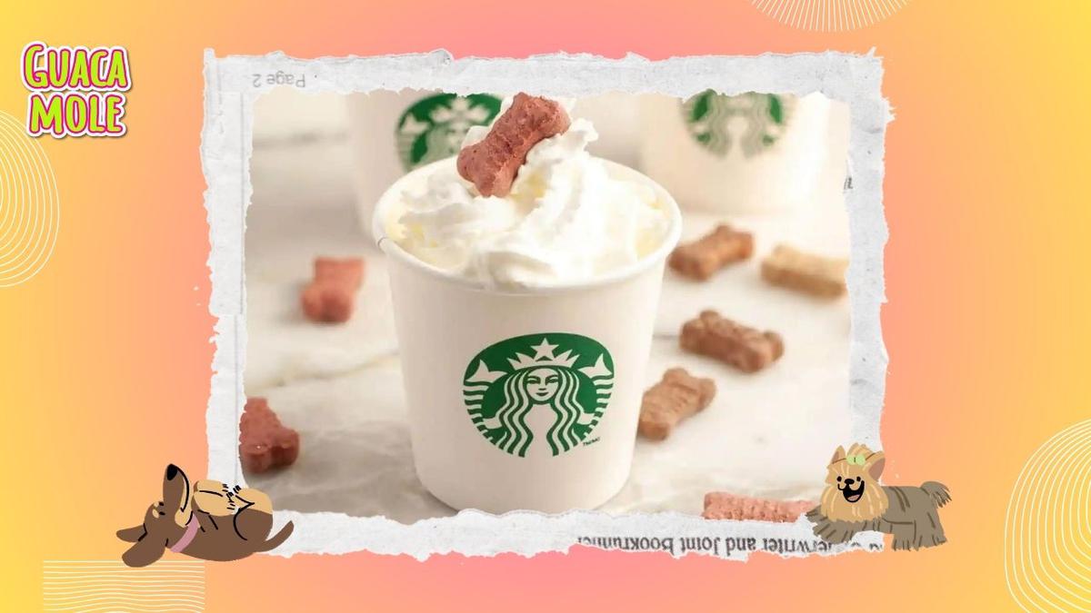 ¿Qué es la bebida ‘Puppuccino’ de Starbucks?