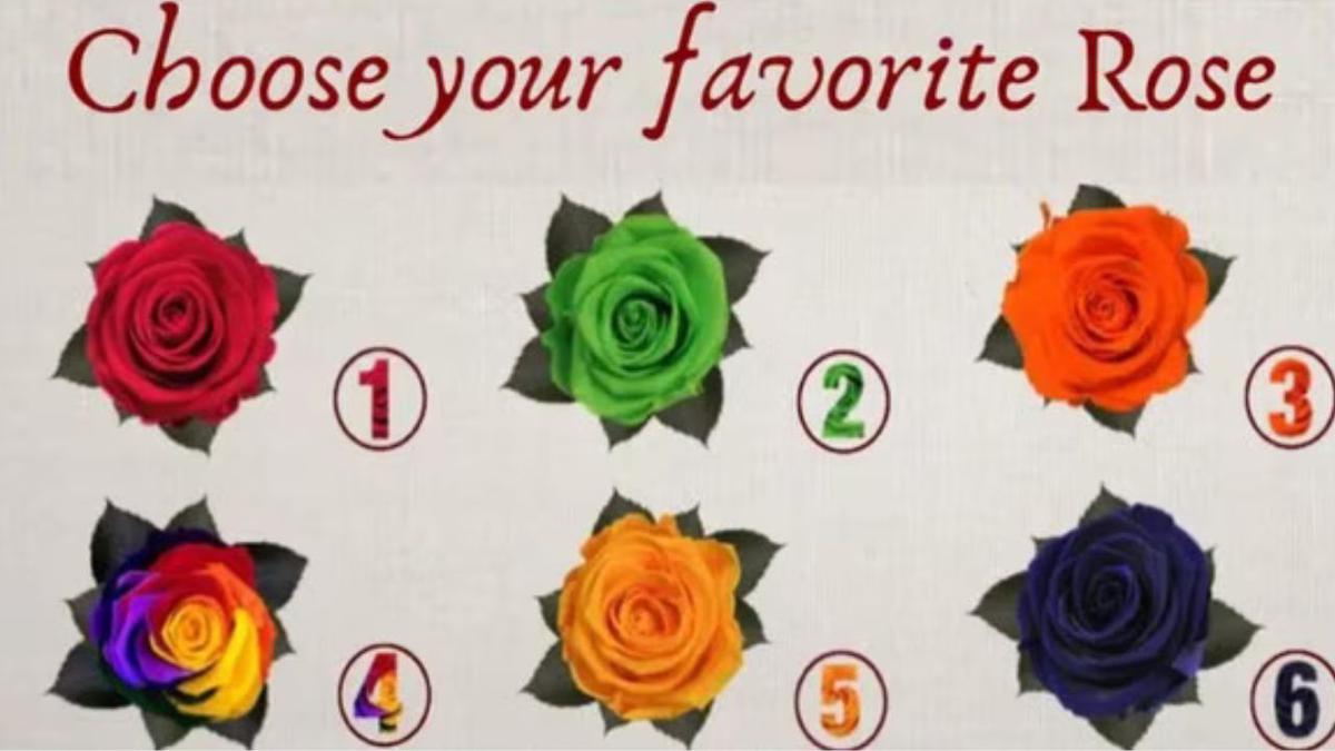 ¿qué tan pervertido eres? | elije una rosa y lo sabrás
Foto: @ShowmundialShow