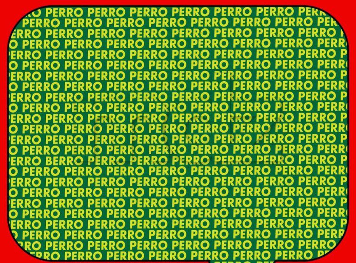 Encuentra la palabra PERRO | Acertijo visual
Imagen: @ShowmundialShow