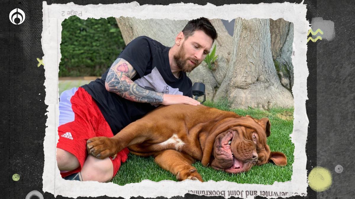 Mascota de Messi. | Lionel junto Hulk, su Dogo de Burdeos. (Instagram @leomessi)