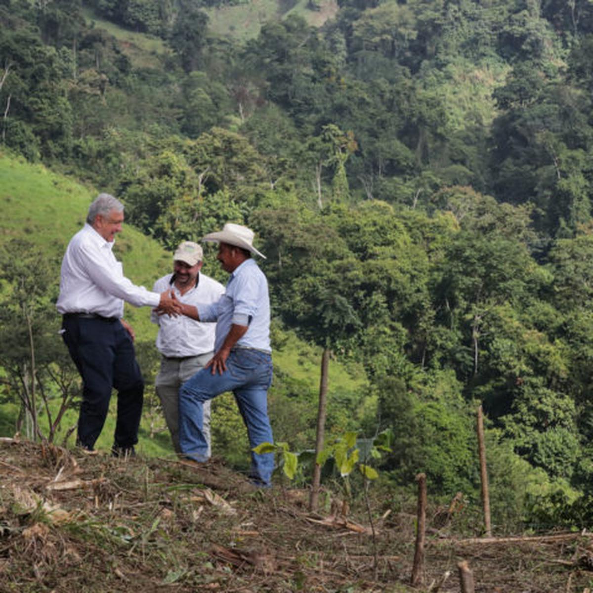  | AMLO supervisando avances de Sembrando Vida en Chiapas. Foto: Presidente de México