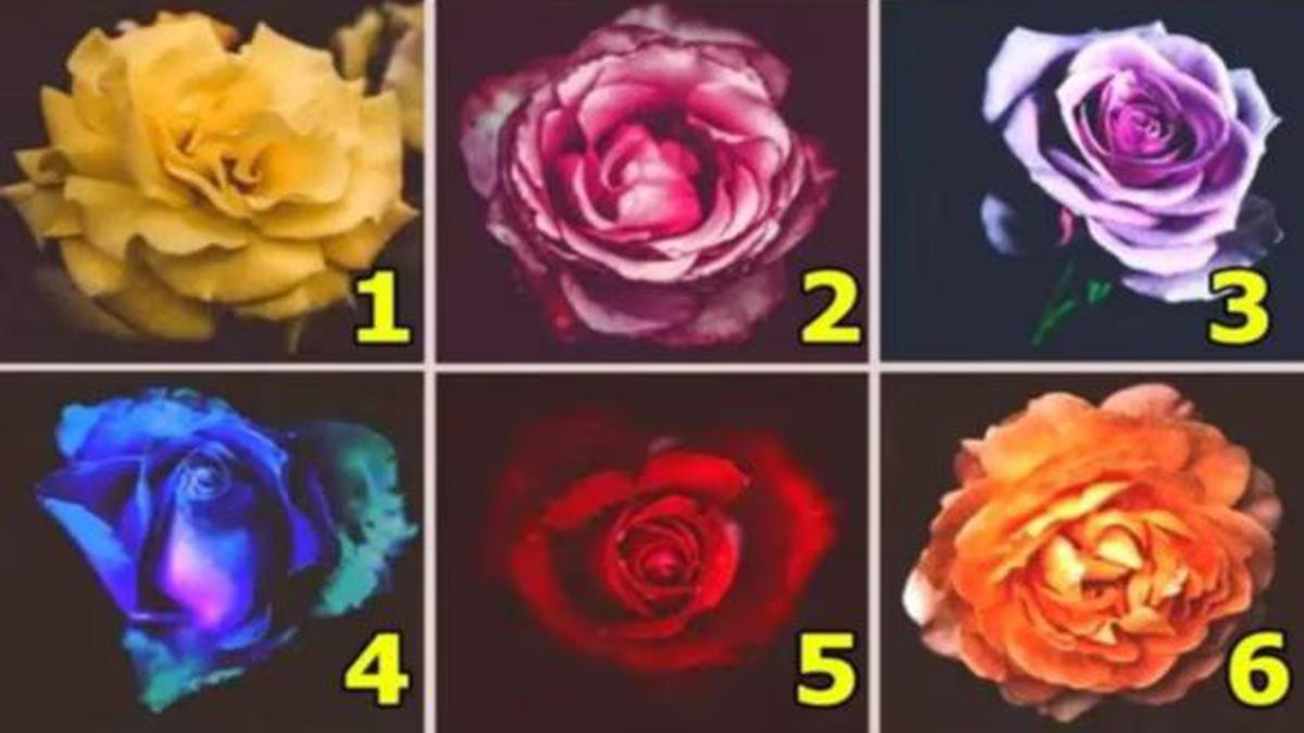 Test de personalidad: Elige una rosa y descubre tu personalidad | Anímate a realizar este test viral
Imagen: @ShowmundialShow