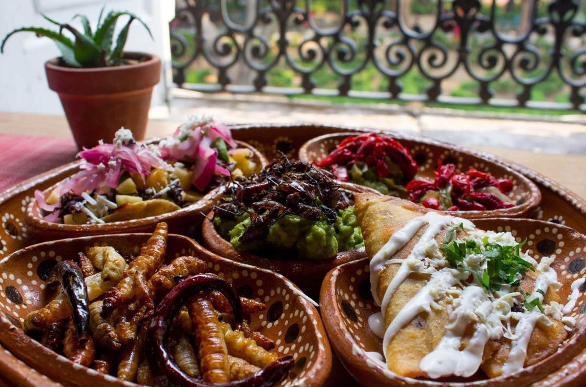  | La gastronomía en México va de la mano con los insectos