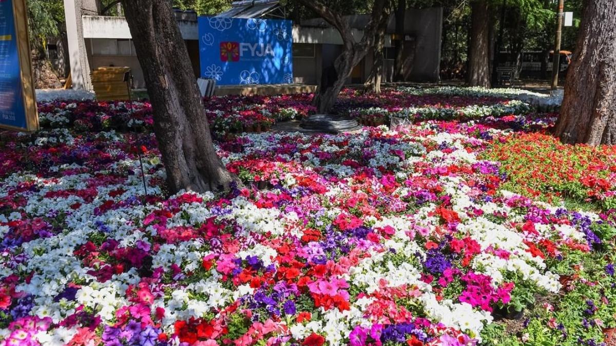  | La última edición del Festival de Flores y Jardines fue en 2019 