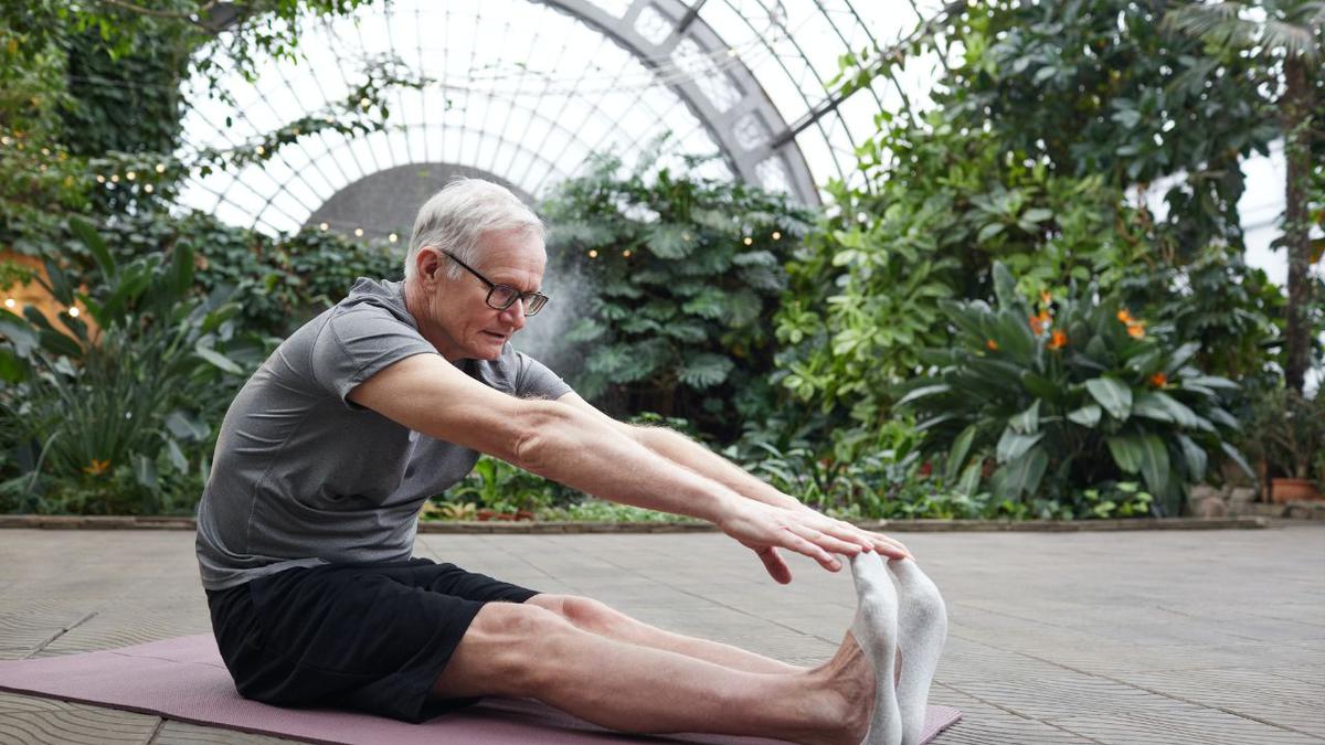 Ejercicios para mayores de 65 años | Los beneficios de mantenerse en actividad son innumerables
Foto: Pexels