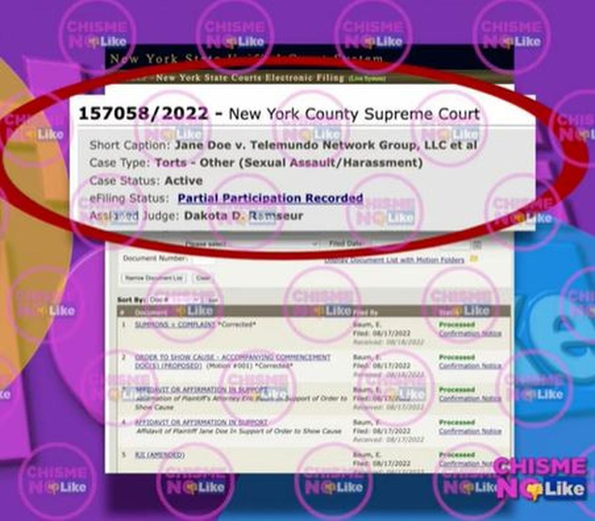  | Captura de pantalla | La denuncia fue interpuesta en la Suprem Corte de Nueva York.
