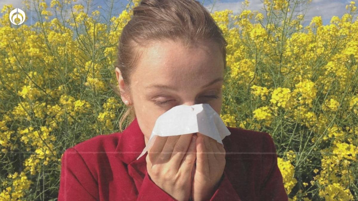  | Se acerca la primavera, por eso te decimos qué hacer si esta temporada te causa alergia.