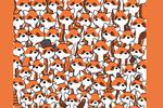 Acertijo visual: ¿Puedes encontrar tres zorros entre los pandas rojos?