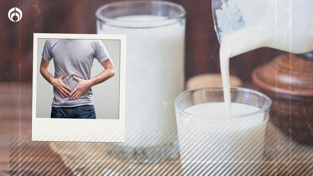  | Una nutrióloga explicó qué pasa con la leche al ser ingerida 