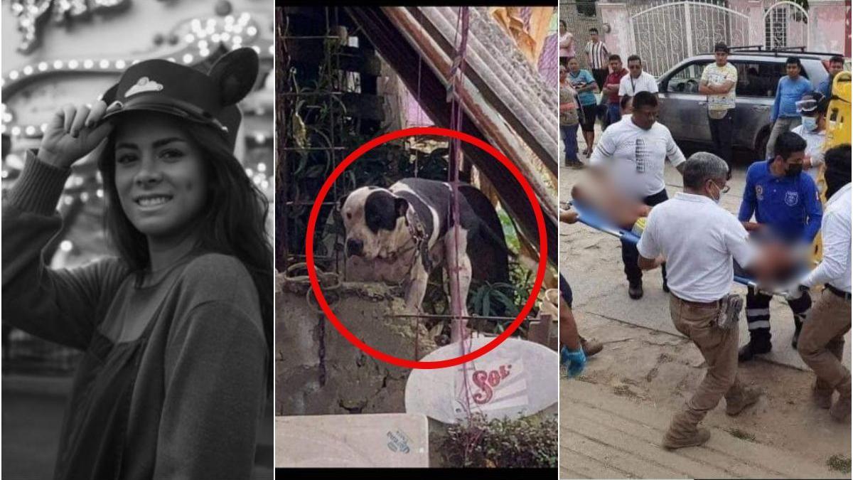  | Paulina Peña se manifestó contra la posibilidad de que sacrifiquen a un perrito pitbull, quien atacó a un presunto asaltante.