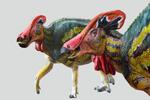 Nueva especie de dinosaurios “colosales” es identificada por paleontólogos mexicanos
