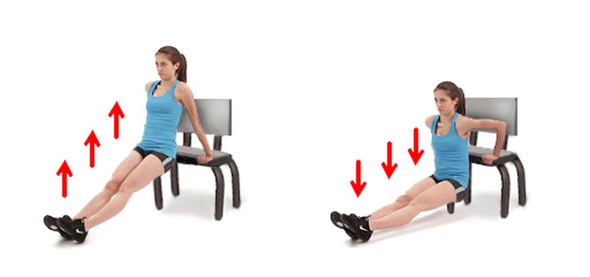 Triceps en silla | Técnica en casa
Foto: Redes Sociales