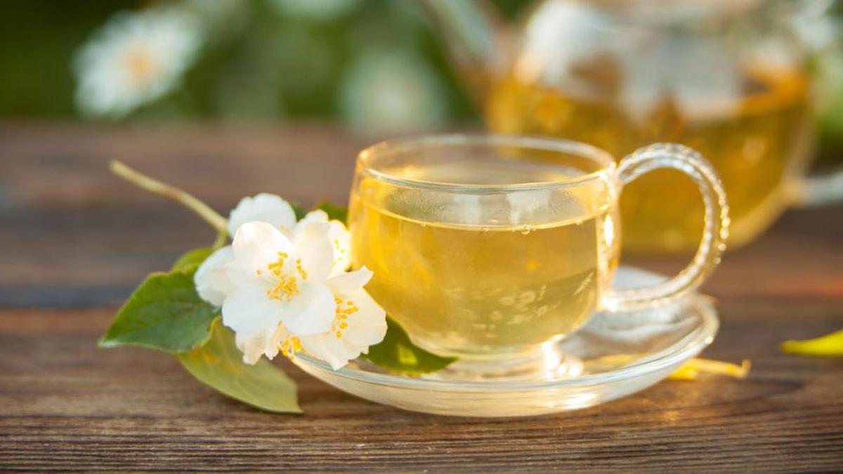 Los beneficios del té blanco | aplana el vienter, adelgaza y previene la osteosporosis
Foto:@ShowmundialShow