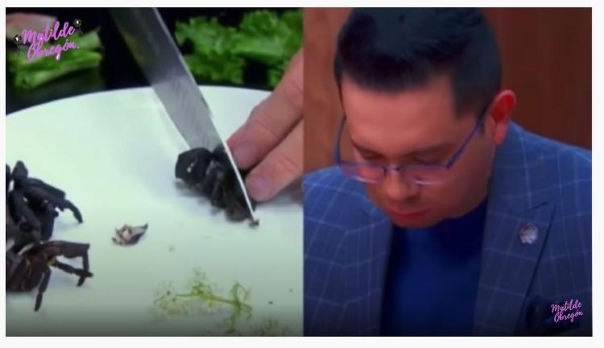  | El chef probó un platillo hecho con tarántula.