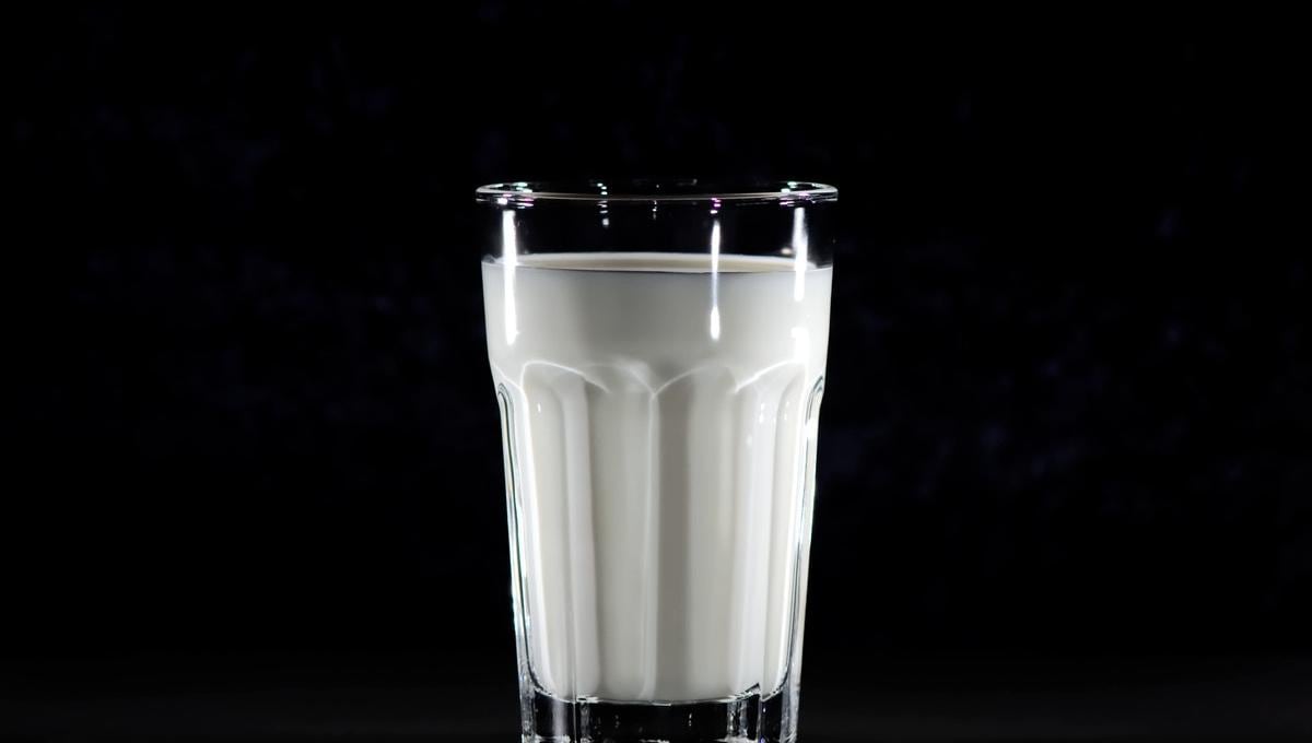 Lacteos | En cuanto a la leche y yogur pueden incluirse controlando las cantidades