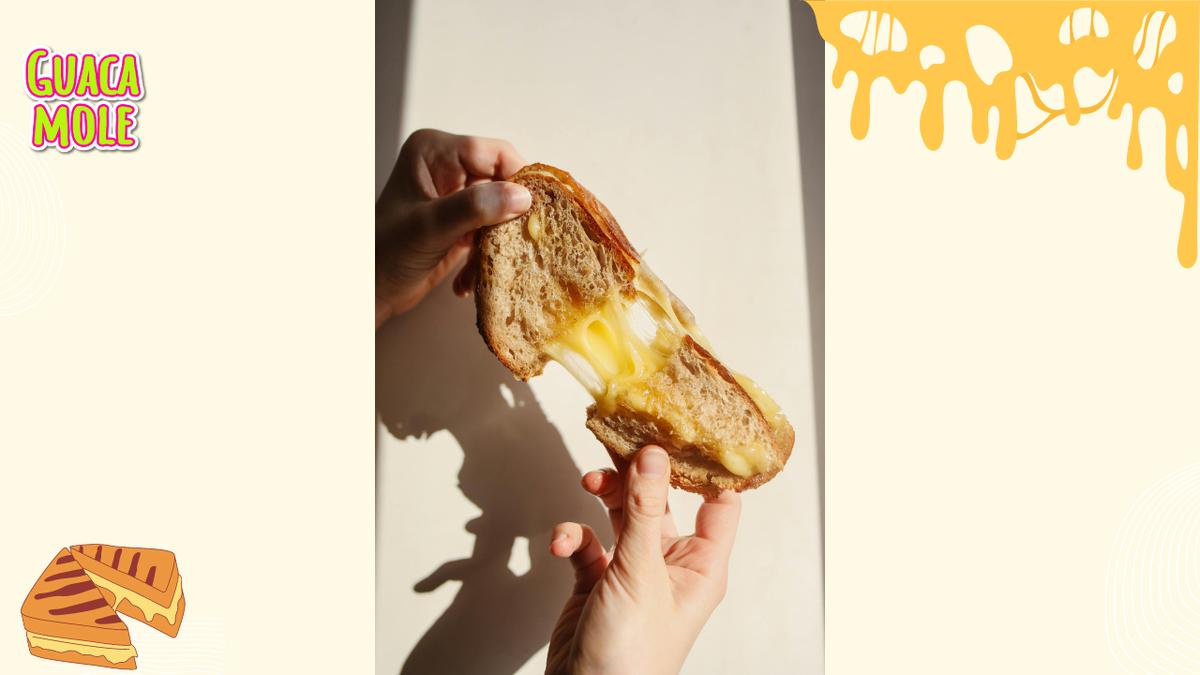 ¿Amante del queso manchego? esta es la marca más rica del mercado