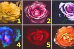 Test de personalidad: Escoge una rosa y averigua quién eres