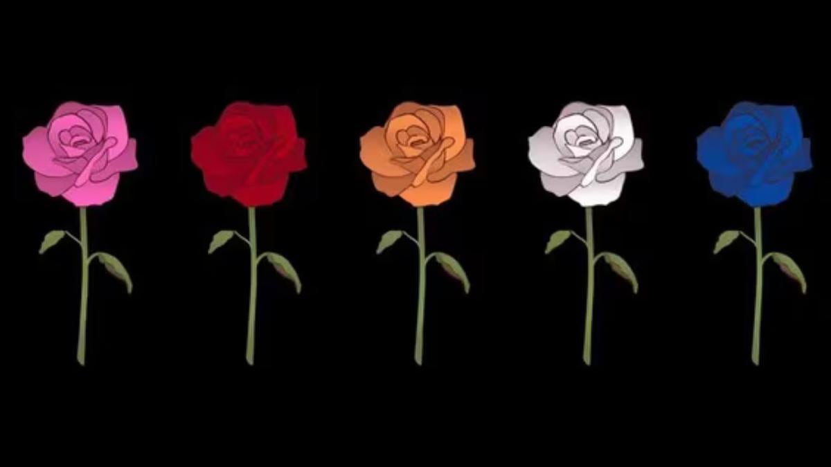 Test de personalidad | Elije un rosa y sabrás que es lo que necesitas. Foto: @ShowmundialShow