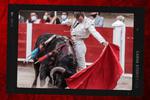 Plaza de Toros México: Queda en vilo corrida de Aniversario del 5 de febrero