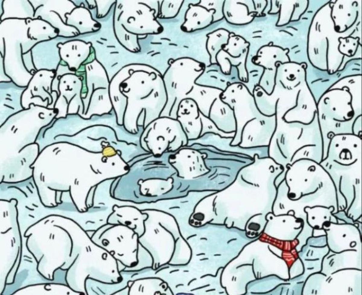 Mira bien la foto. | Encuentra la foca entre los osos.