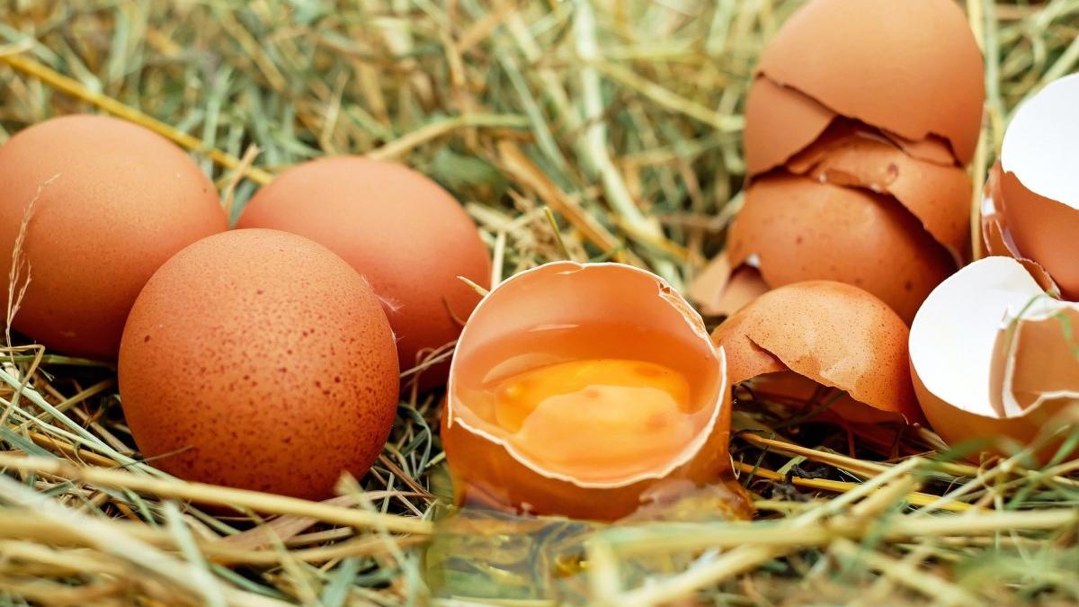 Los huevos son uno de los alimentos más importantes.