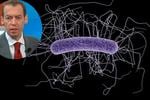 Bacteria clostridium difficile que padece André Marín: qué tan mortal es y cómo se contagia