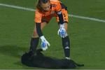 Perrito interrumpe partido de futbol femenil, sale entre aplausos de la cancha