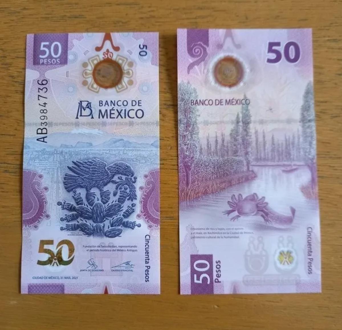 Billete 50 pesos ajolotito | Foto: Especial