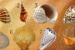 Test de personalidad: elige una concha marina y conoce 3 facetas extrañas de ti mismo